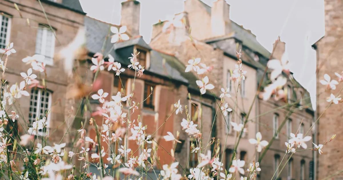 European old town architecture spring flowers bloom